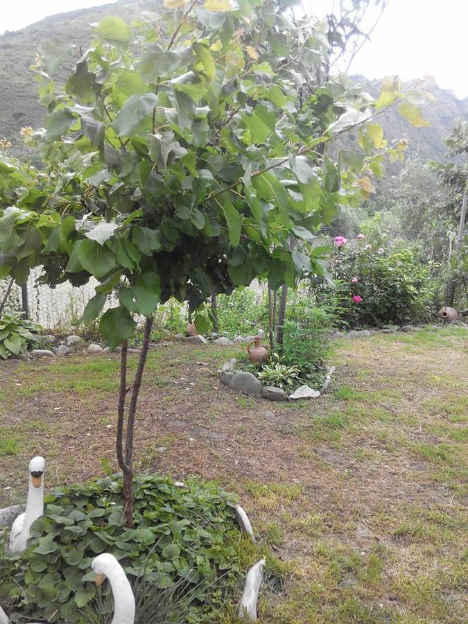 Villa Piano Mtsʼkhetʼa Bagian luar foto
